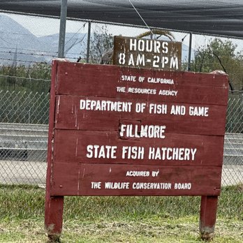 Fillmore Fish Hatchery - Wildlife Control Near Me - Fillmore, California Fillmore Fish Hatchery - Wildlife Control Near Me - Fillmore, California