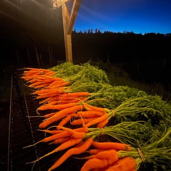 Hyperion Ranch - Carrots - CSA Near Me - Montesano, Washington Hyperion Ranch - Carrots - CSA Near Me - Montesano, Washington