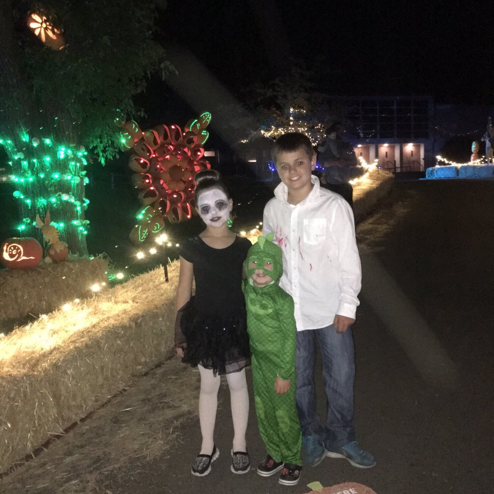 Pumpkin Nights - The crew - Festivals Near Me - Auburn, California