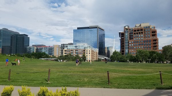 Commons Park by null