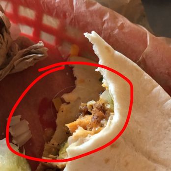 Torchy's Tacos - Hair in taco at this location - Tex-Mex Near Me - Lubbock, Texas Torchy's Tacos - Hair in taco at this location - Tex-Mex Near Me - Lubbock, Texas