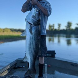 Johnson's Bait & Tackle
