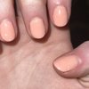 Wonder Nails gift card