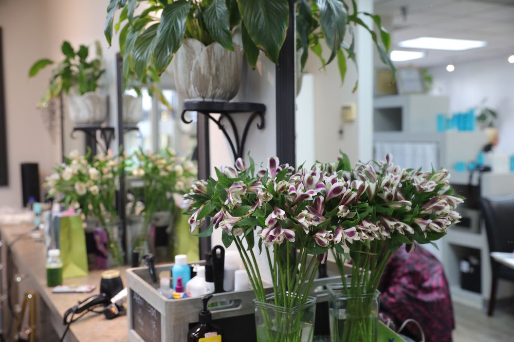 POLISHED IMAGES SALON 68 Photos & 36 Reviews 6120 Paseo Del Norte