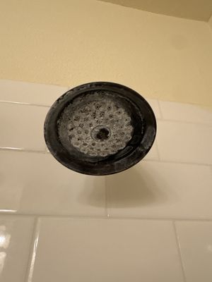 The Holland Hotel by null