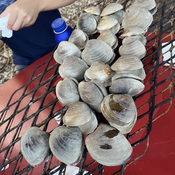The Place - Plain roast clams - Seafood Near Me - Guilford, Connecticut