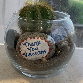McClellan Dental Clinic - 3/20/2023: Awwww~a nice cacti terrarium! - General Dentistry Near Me - McClellan Park, California McClellan Dental Clinic - 3/20/2023: Awwww~a nice cacti terrarium! - General Dentistry Near Me - McClellan Park, California