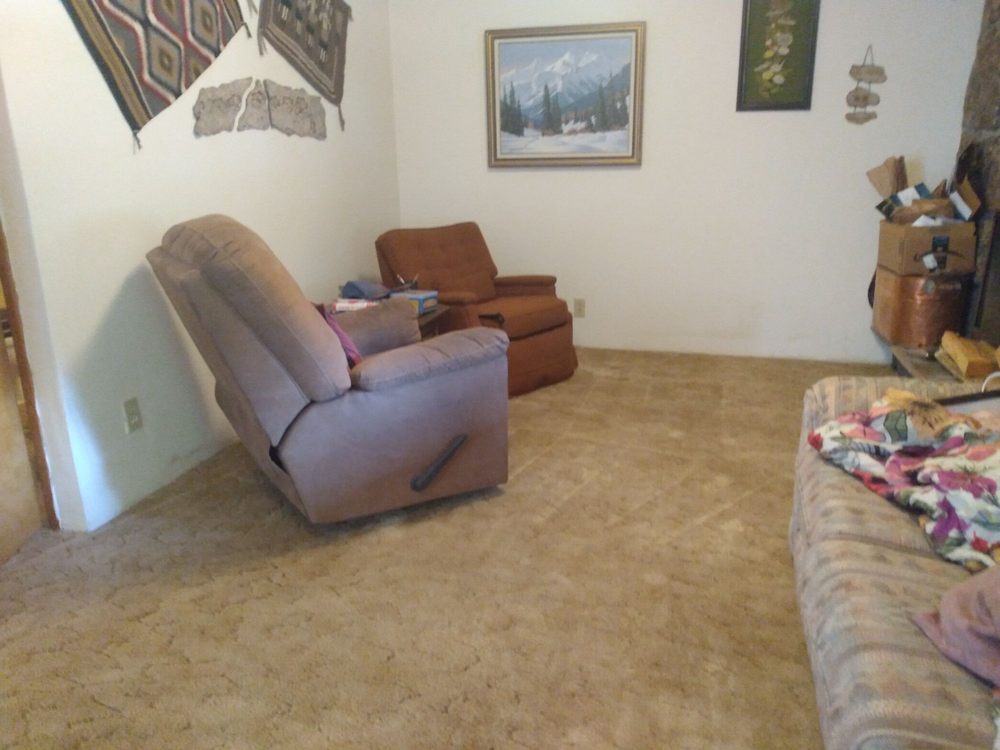 BIG DOG CARPET AND TILE CLEANING Updated September 2024 31 Photos