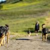 Shell Ridge Open Space gift card