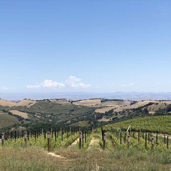 DAOU Vineyards - Wineries Near Me - Paso Robles, California