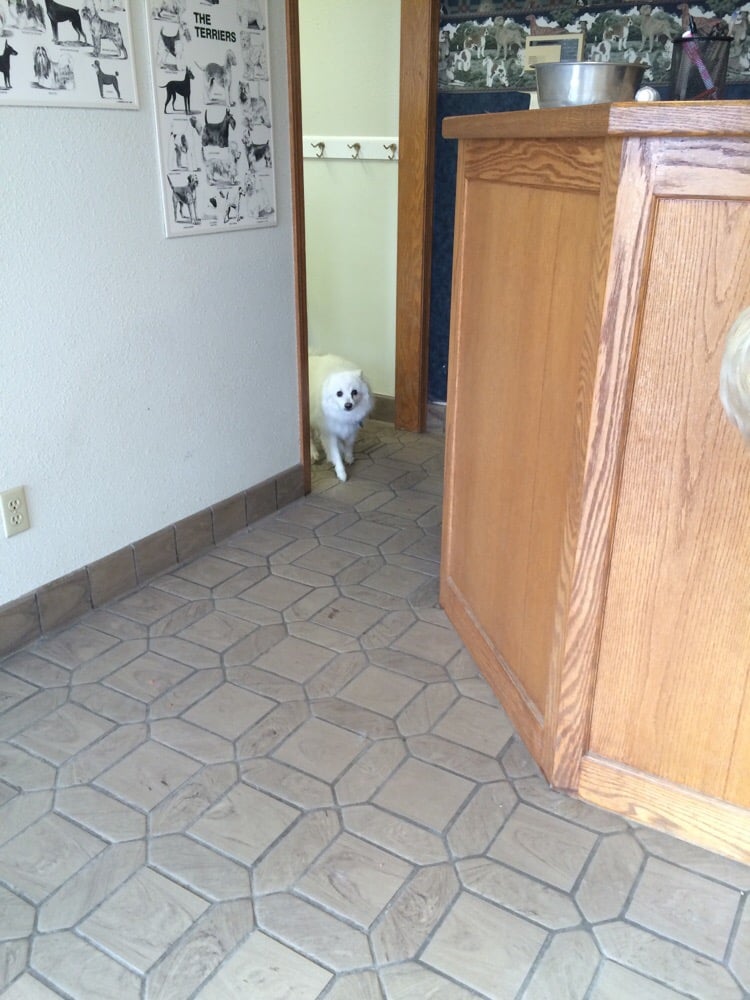 ALL PETS MOBILE CLINIC Updated October 2024 1741 14th Ave S