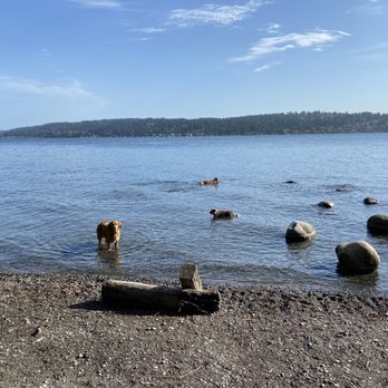 Magnuson Park Off-Leash Area - Not busy day at the beach - Dog Parks Near Me - Seattle, Washington