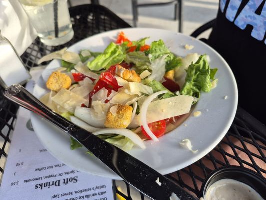 Boston Commons by null