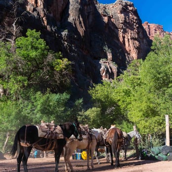 Havasu Falls - muless - Hiking Near Me Havasu Falls - muless - Hiking Near Me