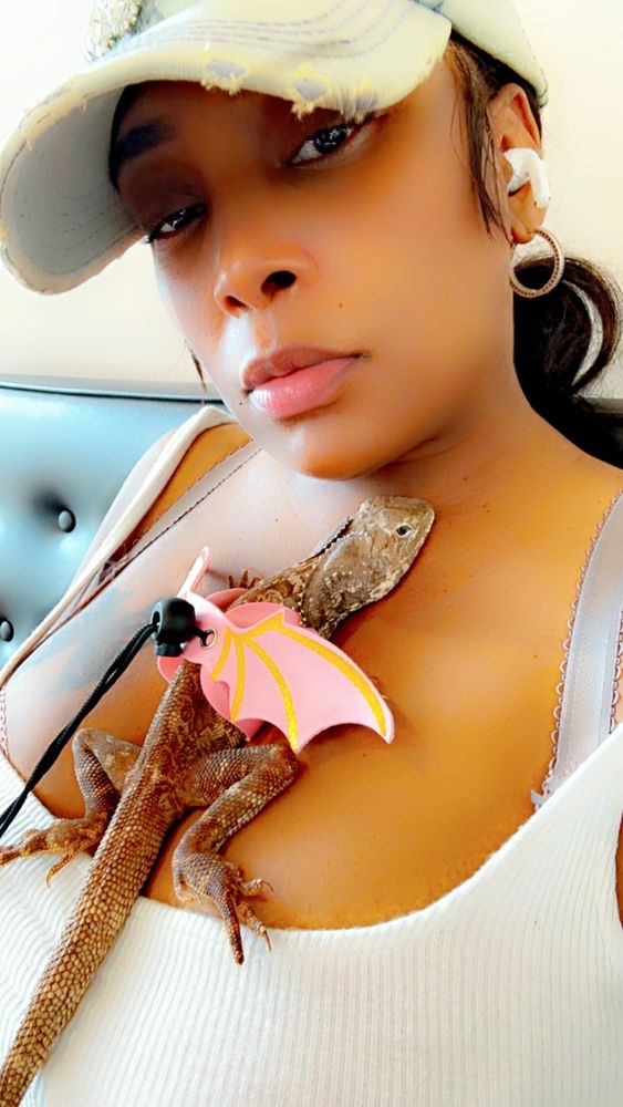 BRONZEVILLE ANIMAL CLINIC with photos Updated August 2024 24 Photos