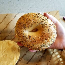 Everything Bagel