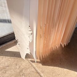 New Level Property Management - There was no pets allowed, but there were five dogs there. here is some of the damage