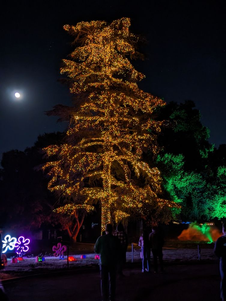 Slide of Window Wizards 