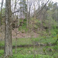 Pine Quarry Park