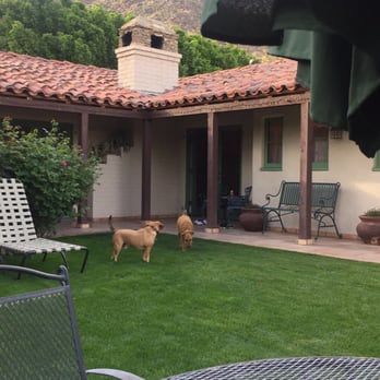 Casa Cody - Perfect yard to relax in for you and your pets. - Hotels Near Me - Palm Springs, California Casa Cody - Perfect yard to relax in for you and your pets. - Hotels Near Me - Palm Springs, California