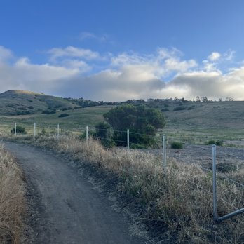 Bommer Canyon - Hiking Near Me - Irvine, California