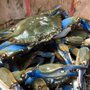 Photo of Conrad's Crabs & Seafood Market - Parkville