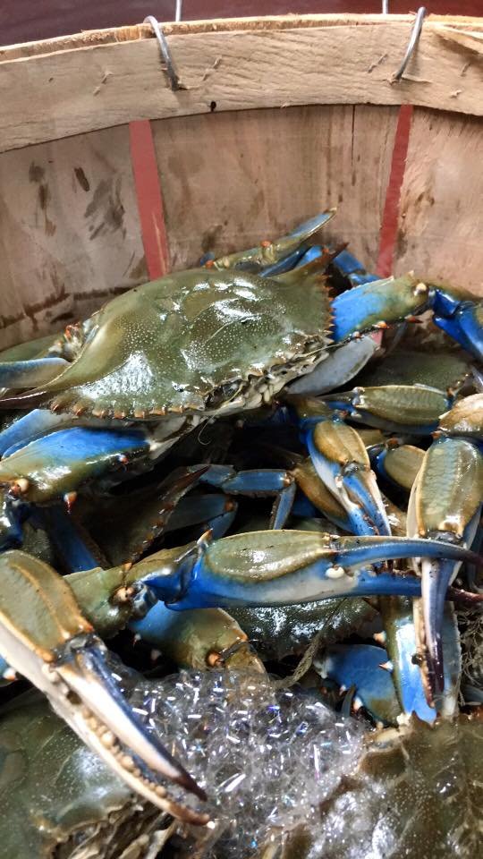 CONRAD’S CRABS & SEAFOOD MARKET PARKVILLE Updated September 2024