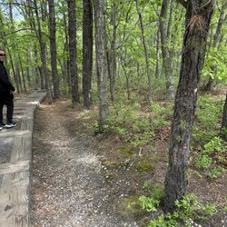 Blueberry Hill Trail