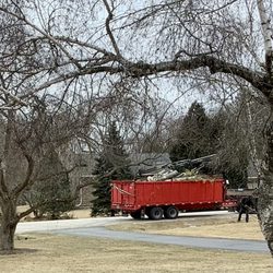Brady's Tree Service - Hauled away and chipped it off site, minimizing neighborhood disruption
