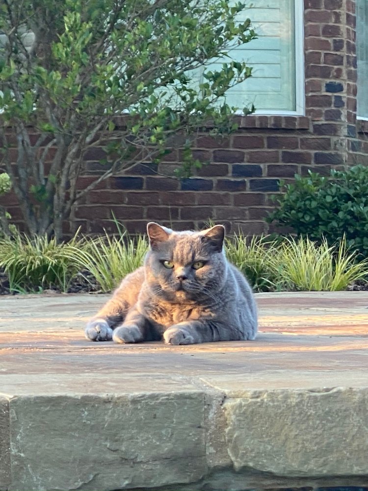 YELL COUNTY VETERINARY SERVICE Updated August 2024 18004 S Highway