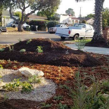 Green Grounds Landscape Services - 3.Raingarden and The Berm1 - Landscaping Near Me - Los Angeles, California