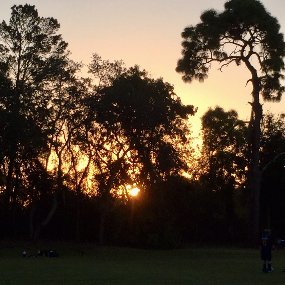 Tarpon Springs Youth Soccer Association Logo