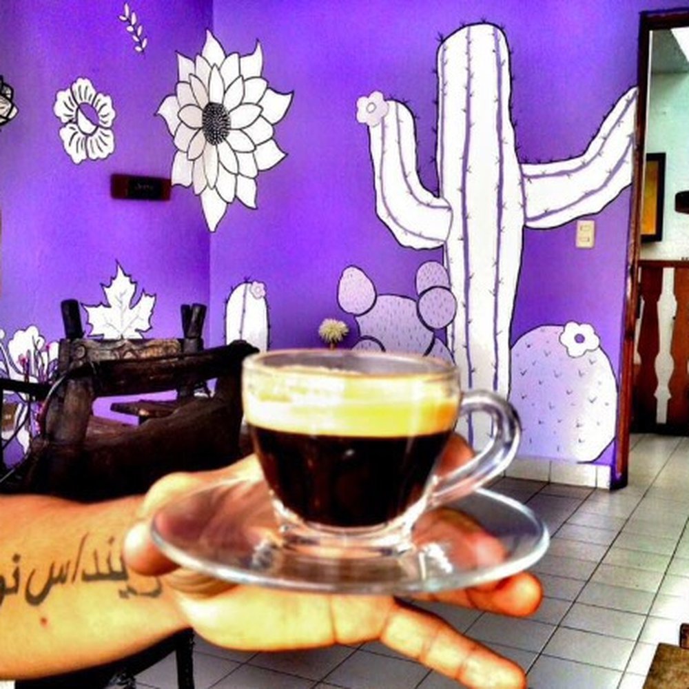 Cafe 1305 - Bars Near Me - Monterrey, NLE