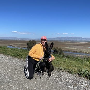 Higher Mind Canine - Cricket on a hike - Pet Training Near Me Higher Mind Canine - Cricket on a hike - Pet Training Near Me