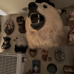 Cellar Door - Decor