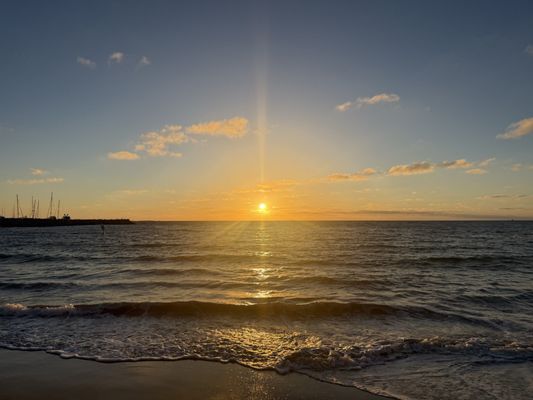 Bathers Beach House by null