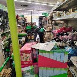 Dollar Tree - When you're stocking stuff you're not supposed to block for people not to buy because that's making you lose money but you have people here