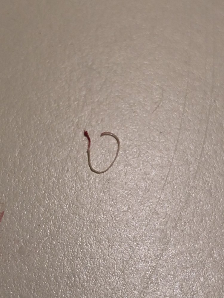 RIVER HOSPITAL Updated September 2024 4 Fuller St, Alexandria Bay