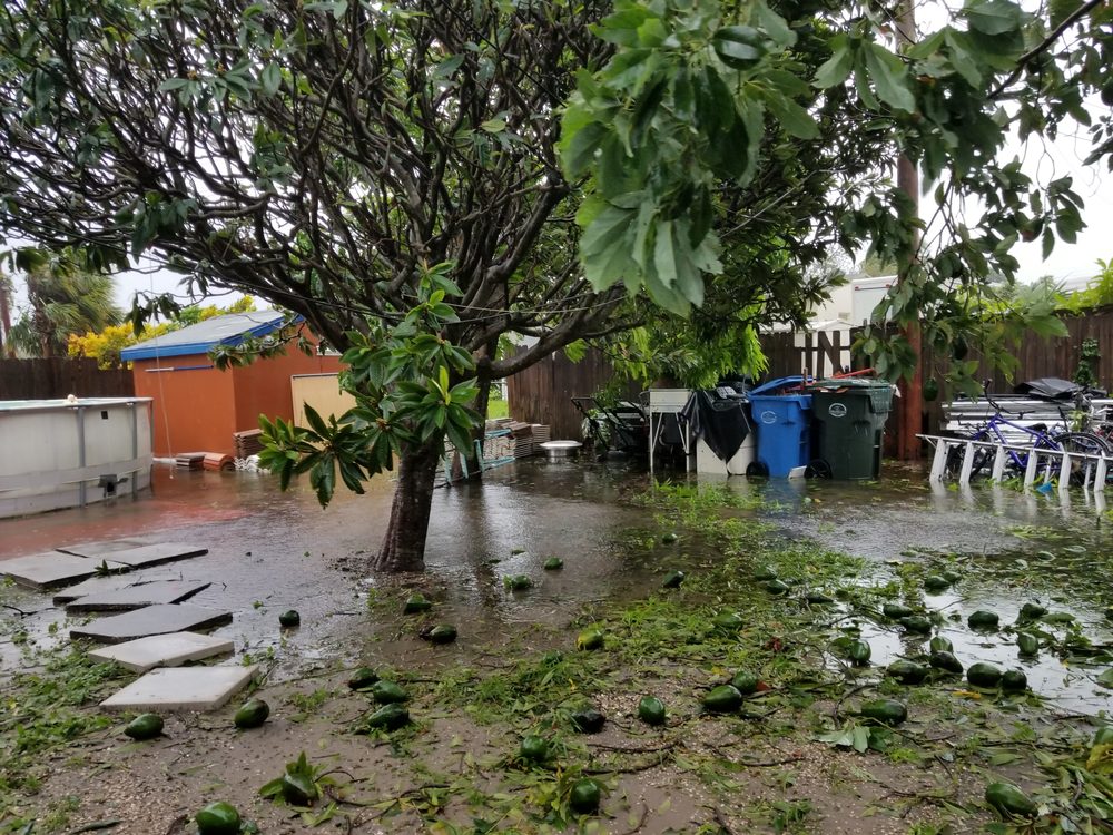 Slide of Timoteo's Handy Fix