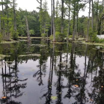 Cypress Gardens - Parks Near Me - Moncks Corner, South Carolina Cypress Gardens - Parks Near Me - Moncks Corner, South Carolina