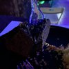Glow Shots & Cocktails gift card