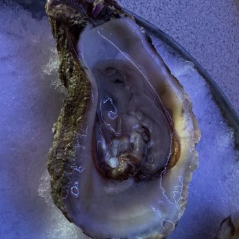 Fishbones Raw Bar And Restaurant - Oyster! - Seafood Near Me - Duck, North Carolina