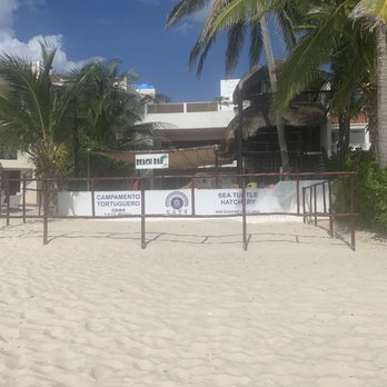 Beached Bikini - Beach Bars Near Me - Akumal, ROO Beached Bikini - Beach Bars Near Me - Akumal, ROO