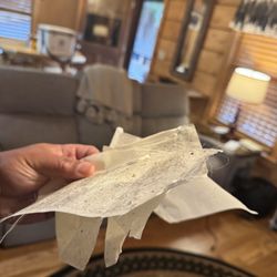 My Mountain Cabin Rentals, LLC