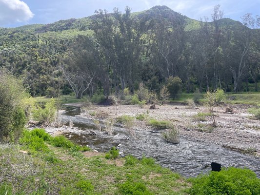 Peter Strauss Ranch by null