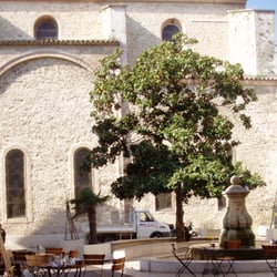 Port de la Ciotat