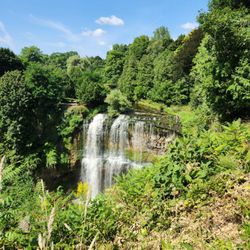 Webster's Falls