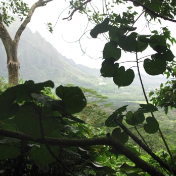 Likeke Falls - If you circle those mountains, at some point, you might turn up at the house where I grew up. But that's a pretty big circle. - Hiking Near Me - Honolulu, Hawaii