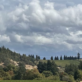 No Whining Wine Tours - Wine Tours Near Me No Whining Wine Tours - Wine Tours Near Me