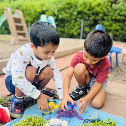 Origins Montessori School